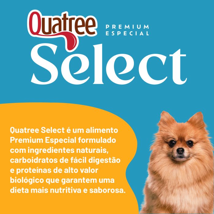 001_QSELECT_CÃES_AD_RP_CARNE_04 (1)