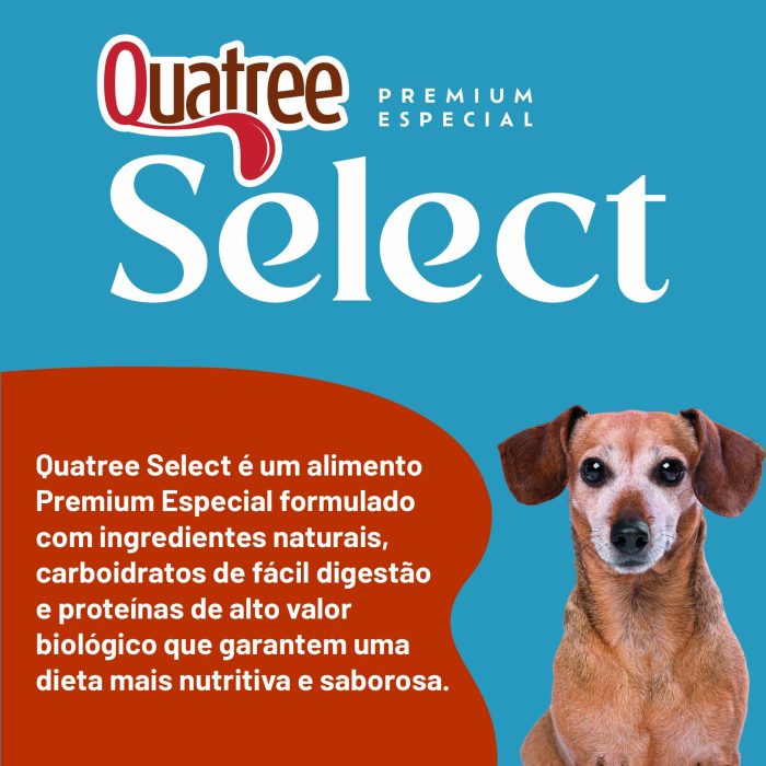 001_QSELECT_CÃES_SENIOR_RP-04