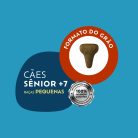 001_QSELECT_CÃES_SENIOR_RP-05
