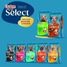 001_QSELECT_CÃES_SENIOR_RP-09